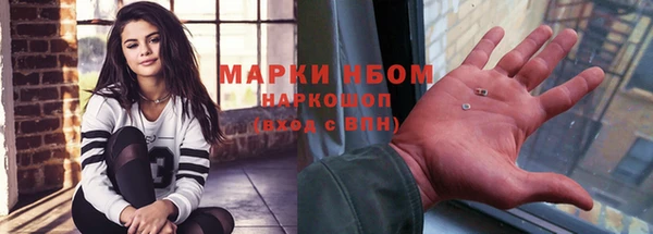 прущие грибы Пестово